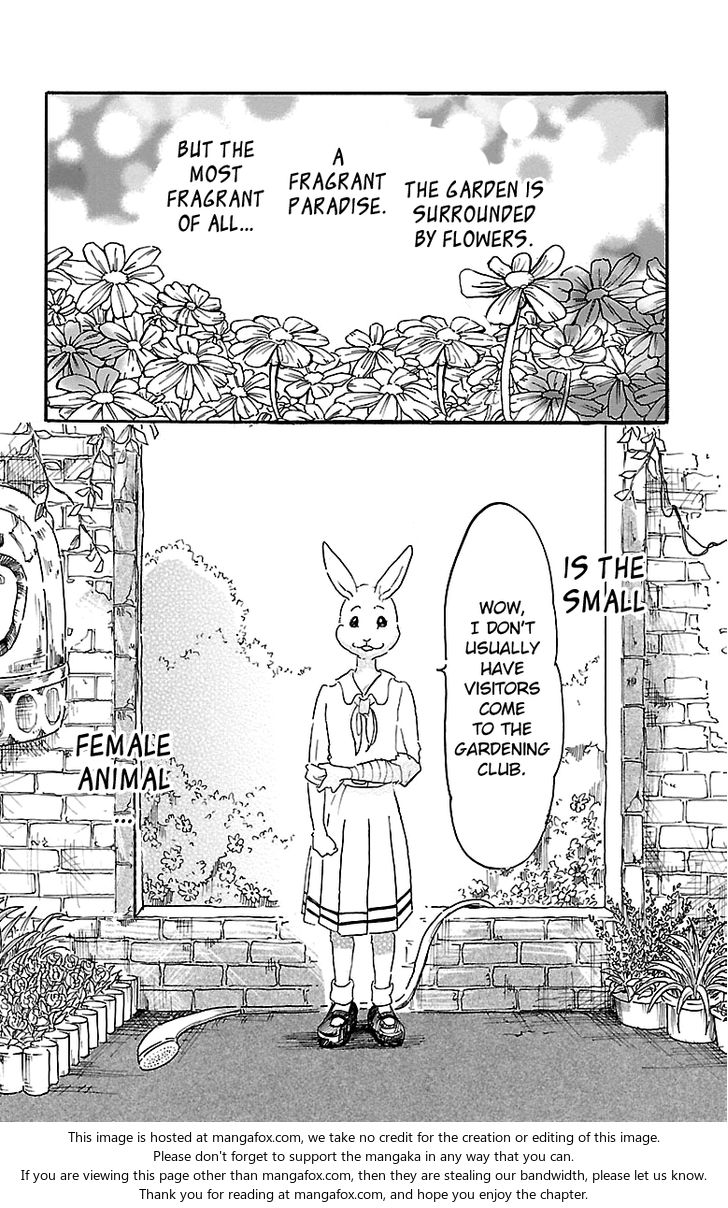 Beastars Vol.02 Chapter 008 page 4