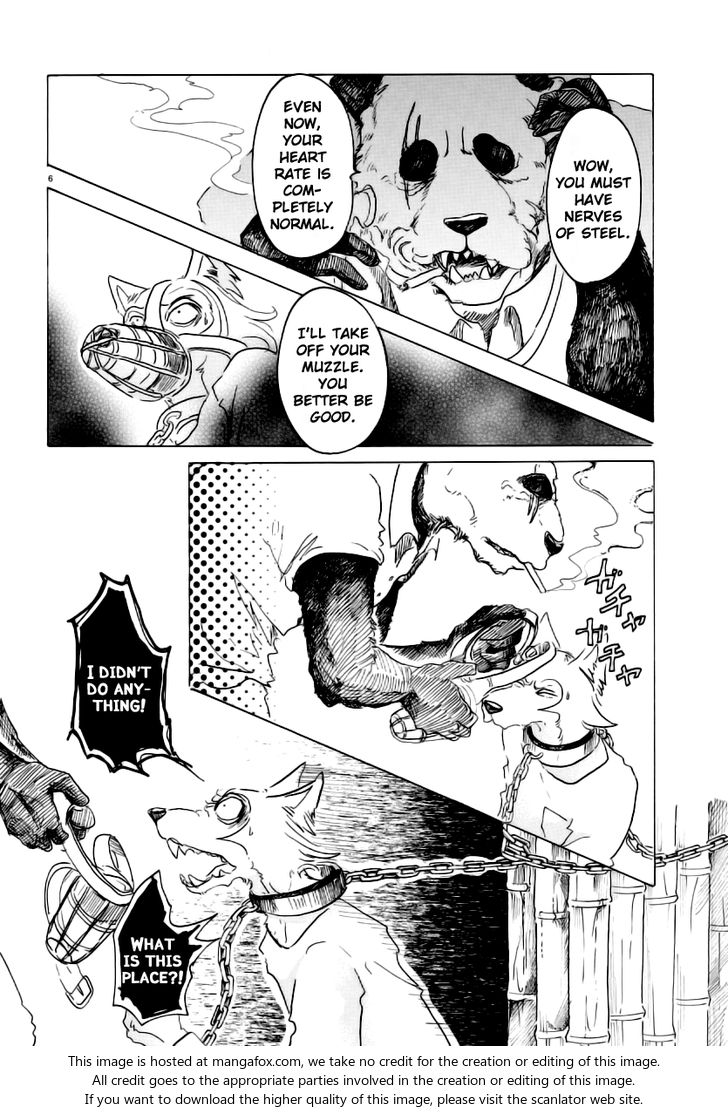 Beastars Vol.03 Chapter 024 page 6