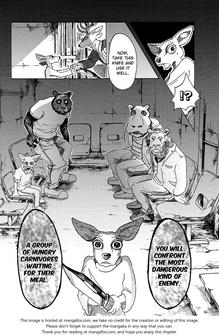 Beastars Vol.04 Chapter 033 page 17