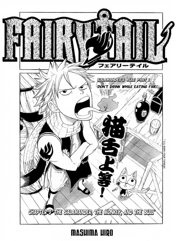 Fairy Tail Vol.01 Chapter 003 page 3