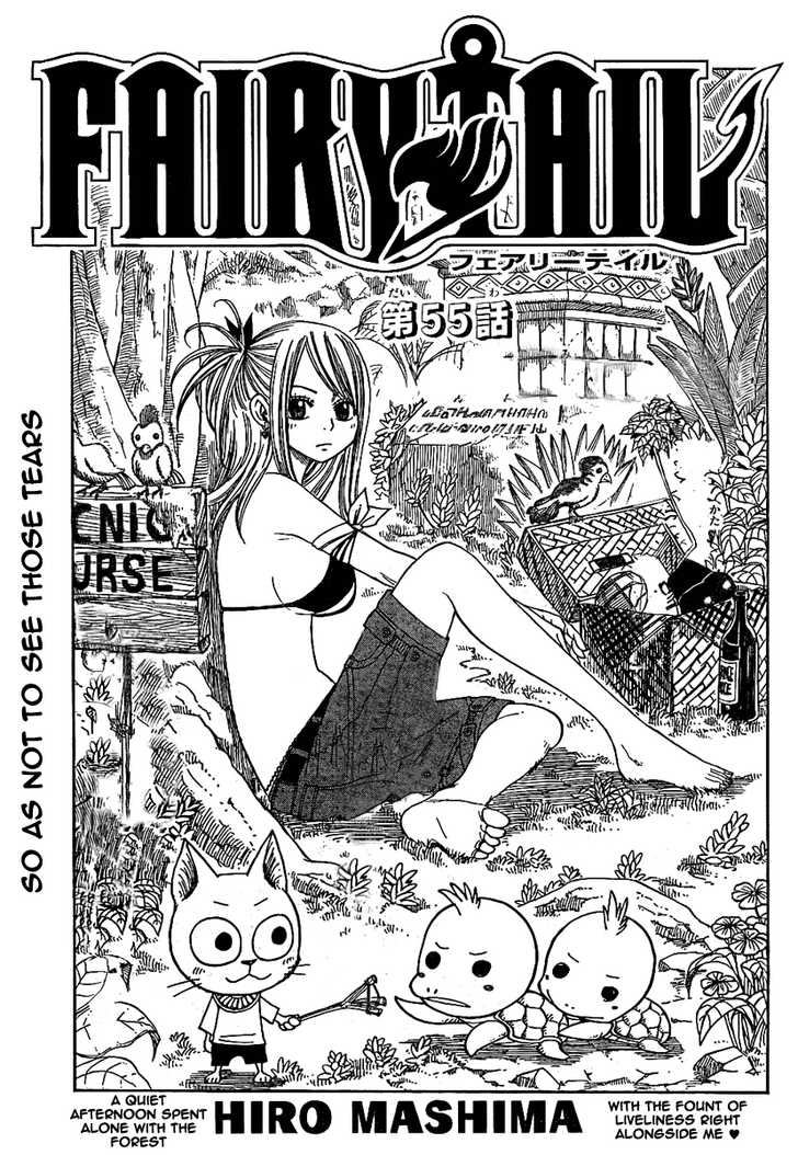 Fairy Tail Vol.07 Chapter 055 page 2