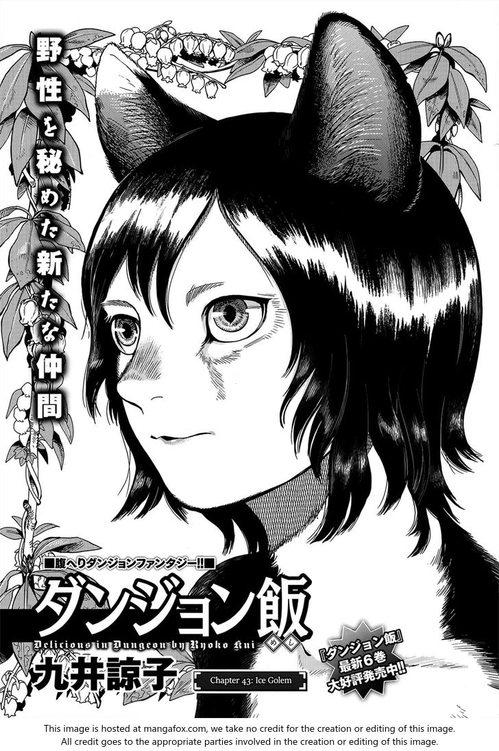 Dungeon Meshi Vol.TBD Chapter 043 page 1